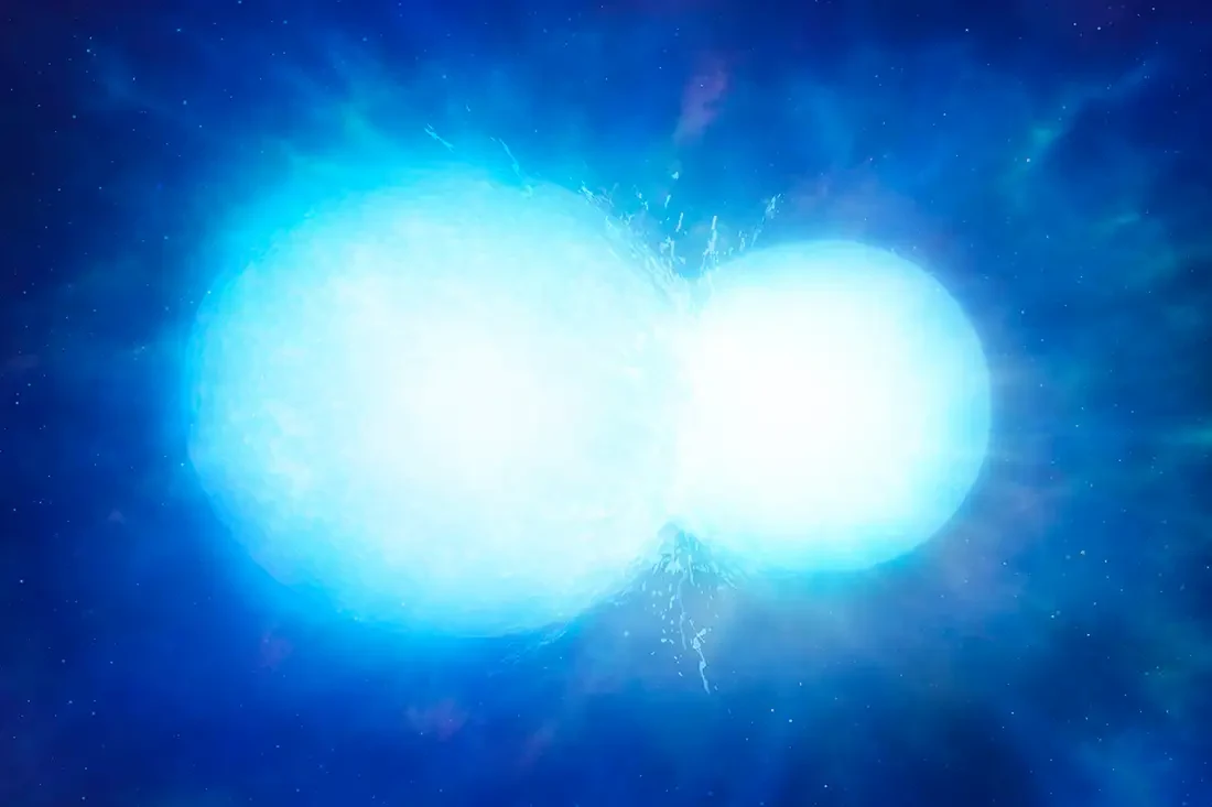 A New Class of Star: Merger Remnant