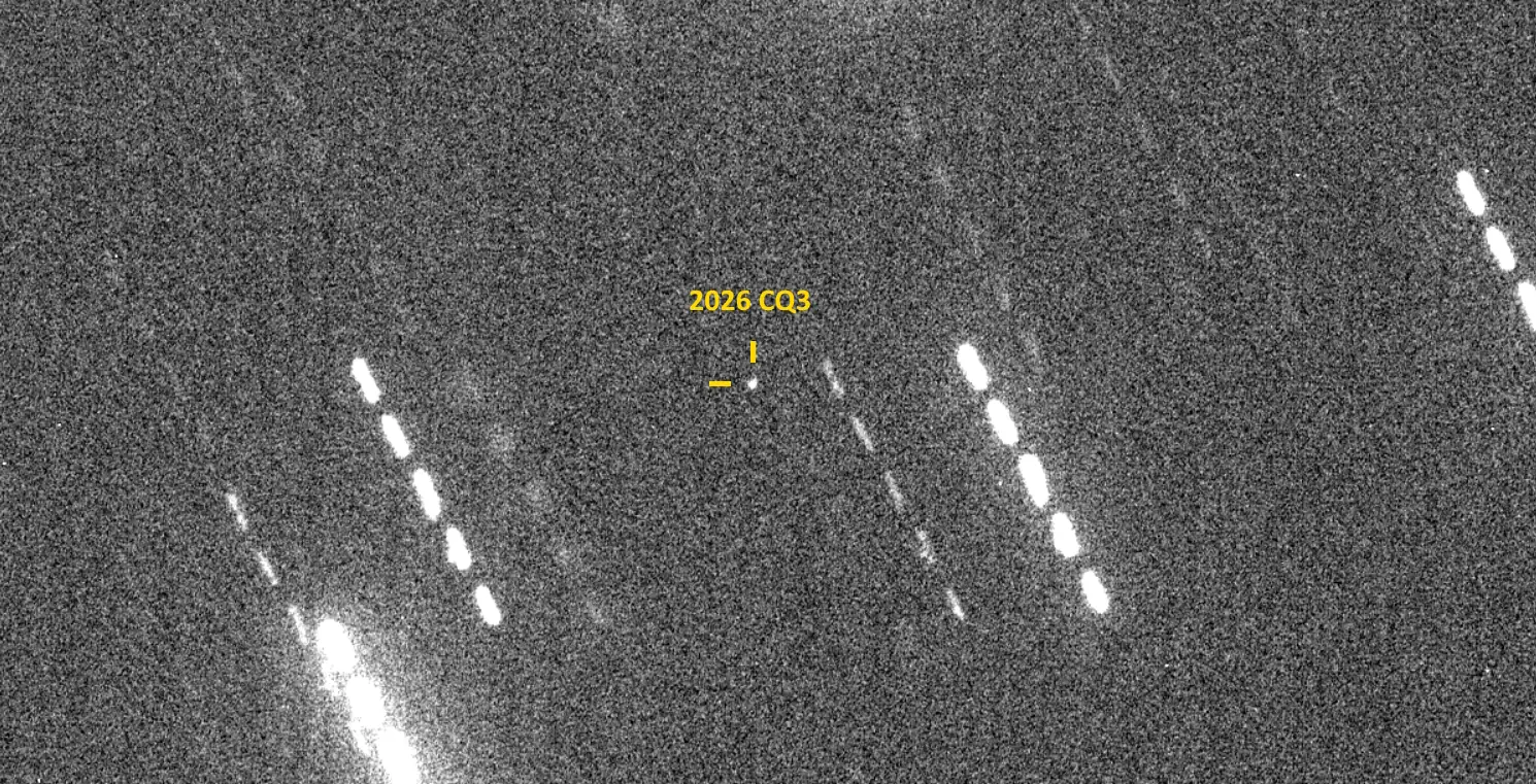 Dedicated Amateur Beats All-Sky Surveys to Asteroid Discovery