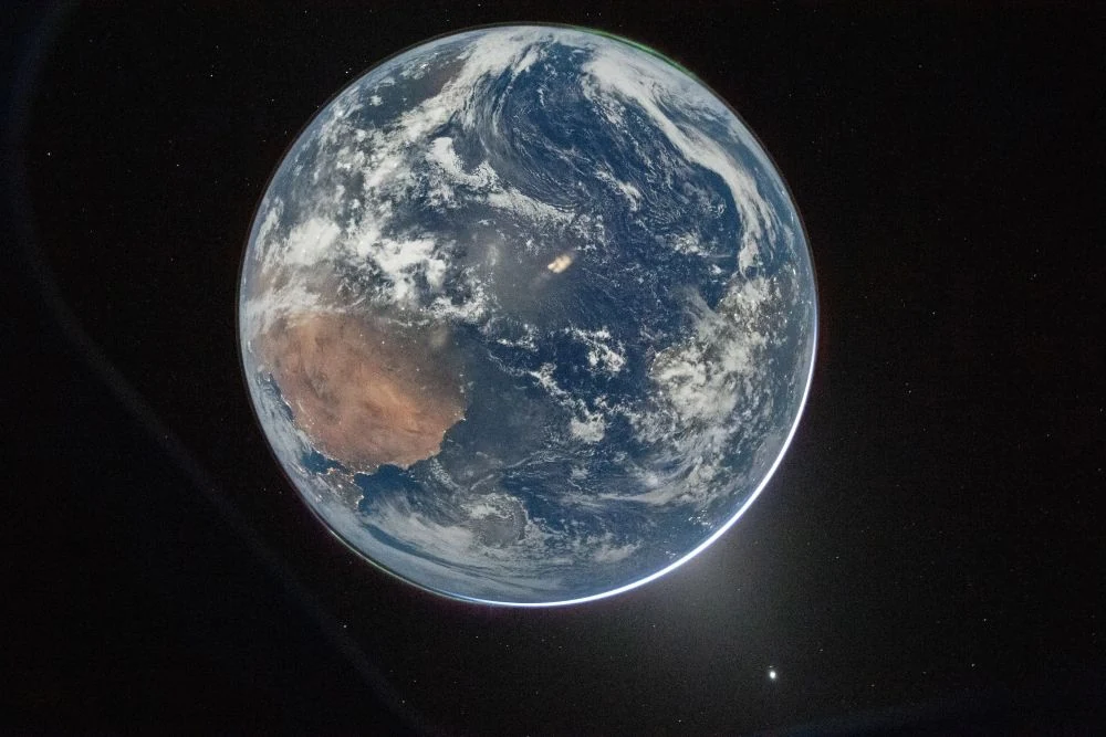 The Outer Solar System Contributed Nothing To Earth
