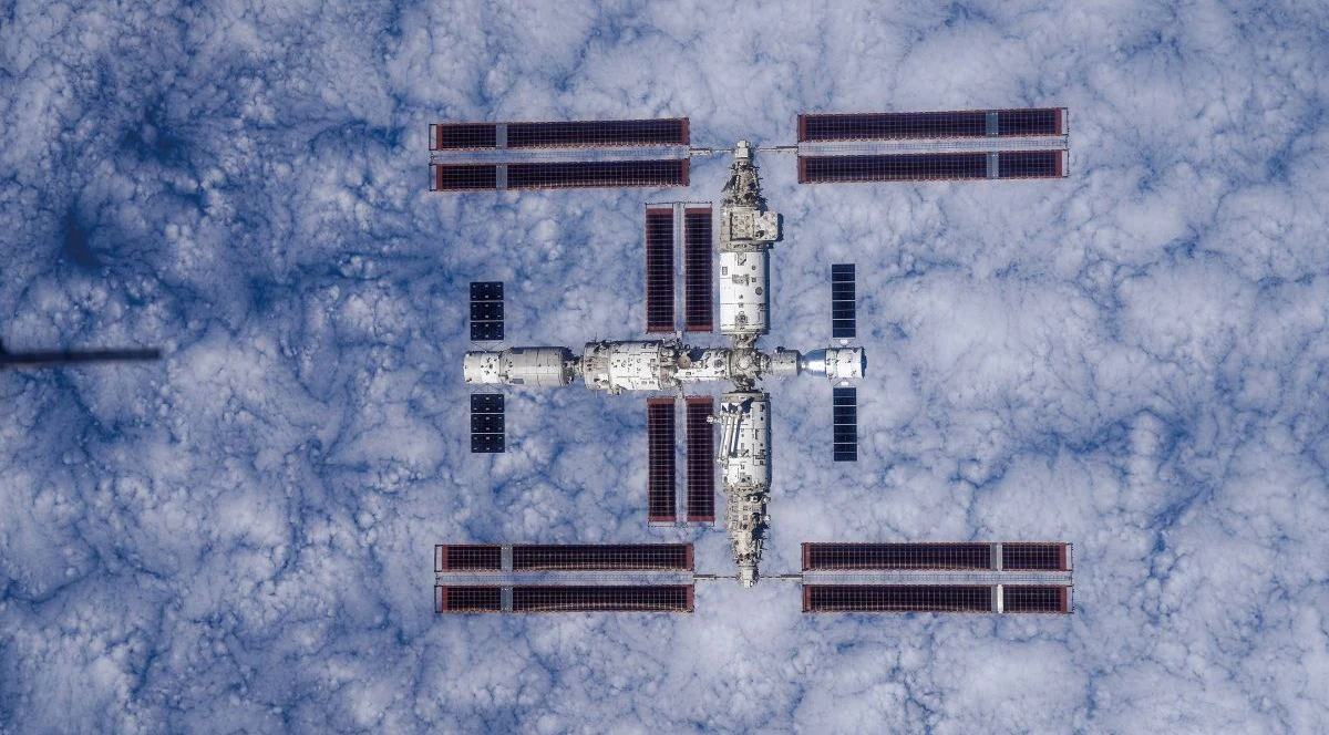 Uncovering the Effects of Microgravity on Liver Metabolism